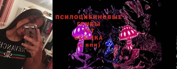 кокаин Каменка