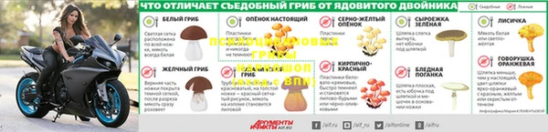 mdma Каменногорск