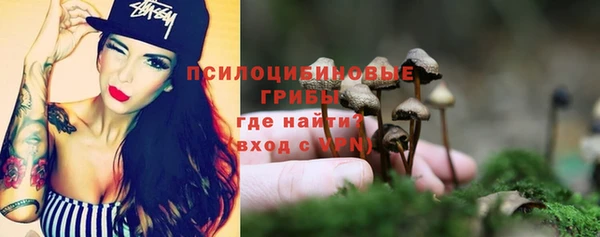 гидра Каменск-Шахтинский