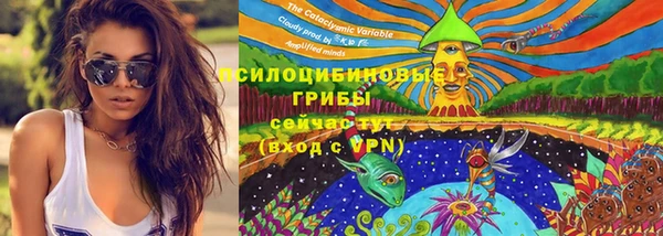 кокаин Каменка