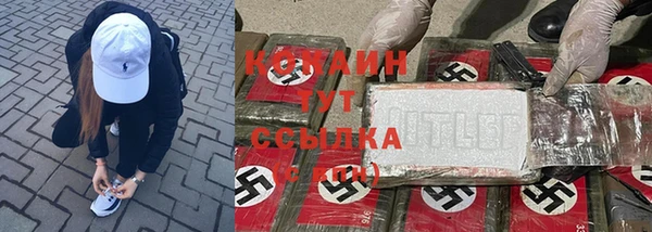 гидра Каменск-Шахтинский