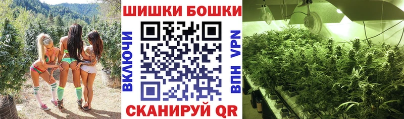 Купить закладки  Жердевка  Бошки марихуана SATIVA & INDICA 